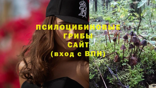 прущая мука Алзамай